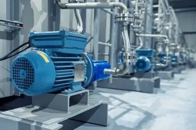 Electric motors bearings